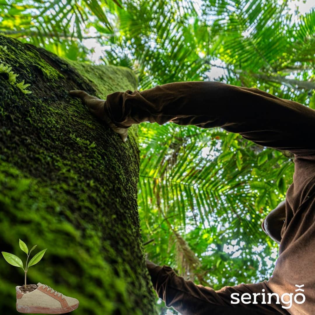 Green cardstock box containing white, beige, and brown cards.